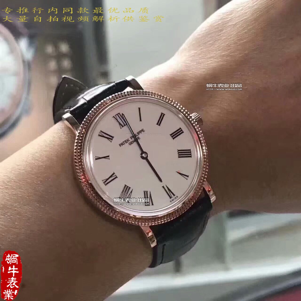 【台湾 Factory  Perfect  High quality  Replica Watches 】 PATEK PHILIPPE 5120 Calatrava古典表系列 wrist watches  / BD214