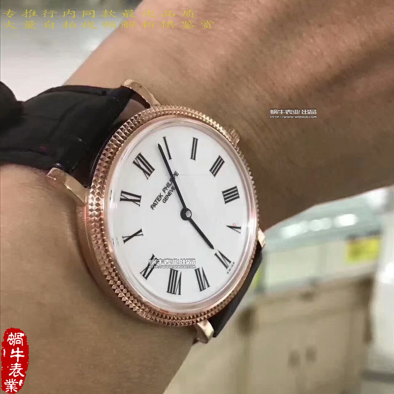 【台湾 Factory  Perfect  High quality  Replica Watches 】 PATEK PHILIPPE 5120 Calatrava古典表系列 wrist watches  / BD214