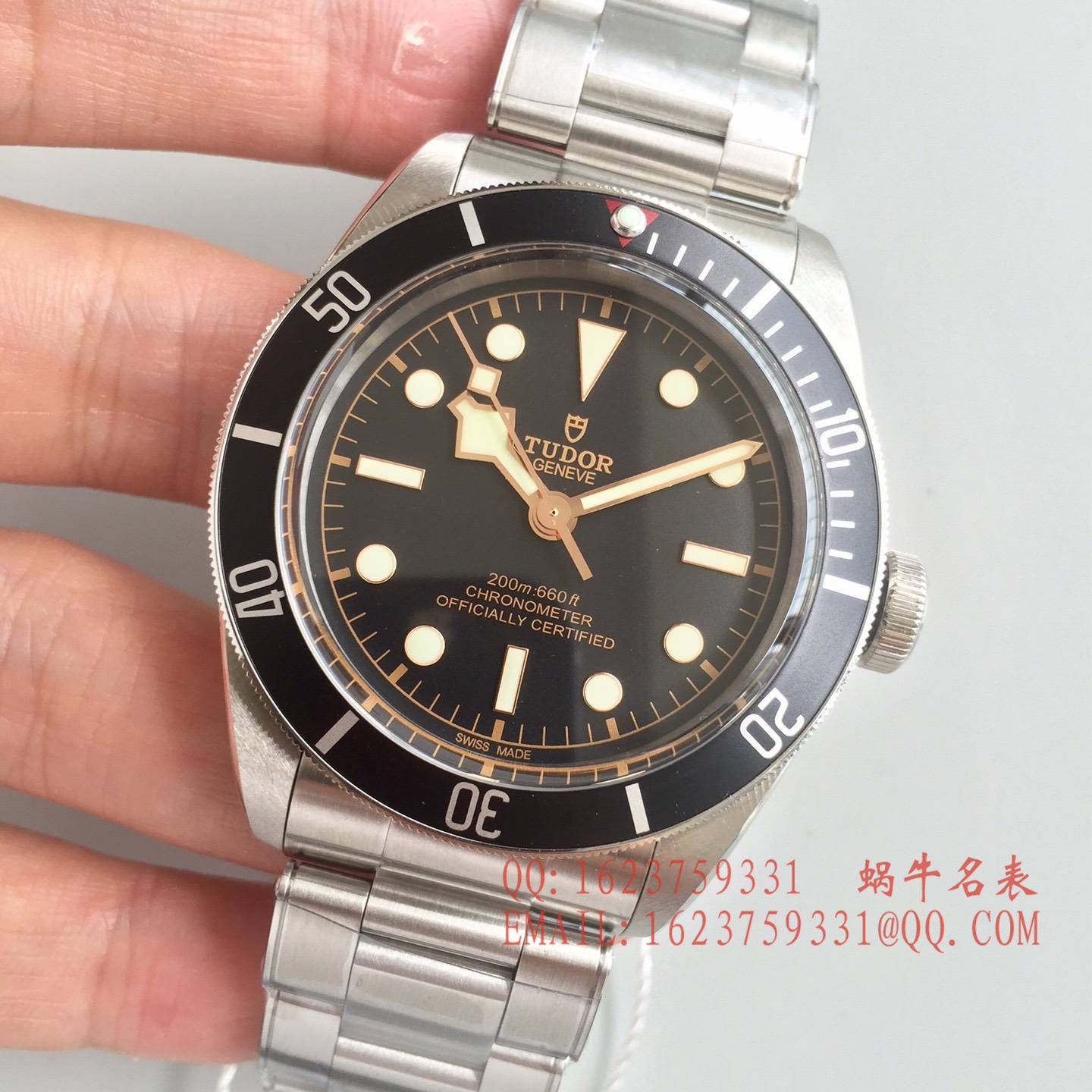 【ZF Factory  Perfect  Replica Copy  Watches 】 Replica  Tudor HERITAGE BLACK BAY系列79220N “ Tudor 小黑花”  wrist watches  / DT016