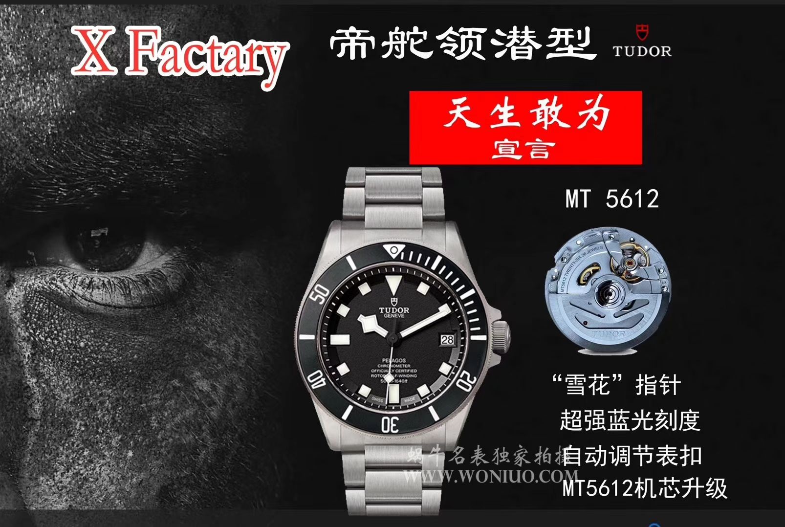  Tudor PELAGOS系列25500TN 钛金属 watchband   wrist watches 【XF Perfect  Replica Copy 黑钛土豆黑色战斧V3版本】 / DT007AMM