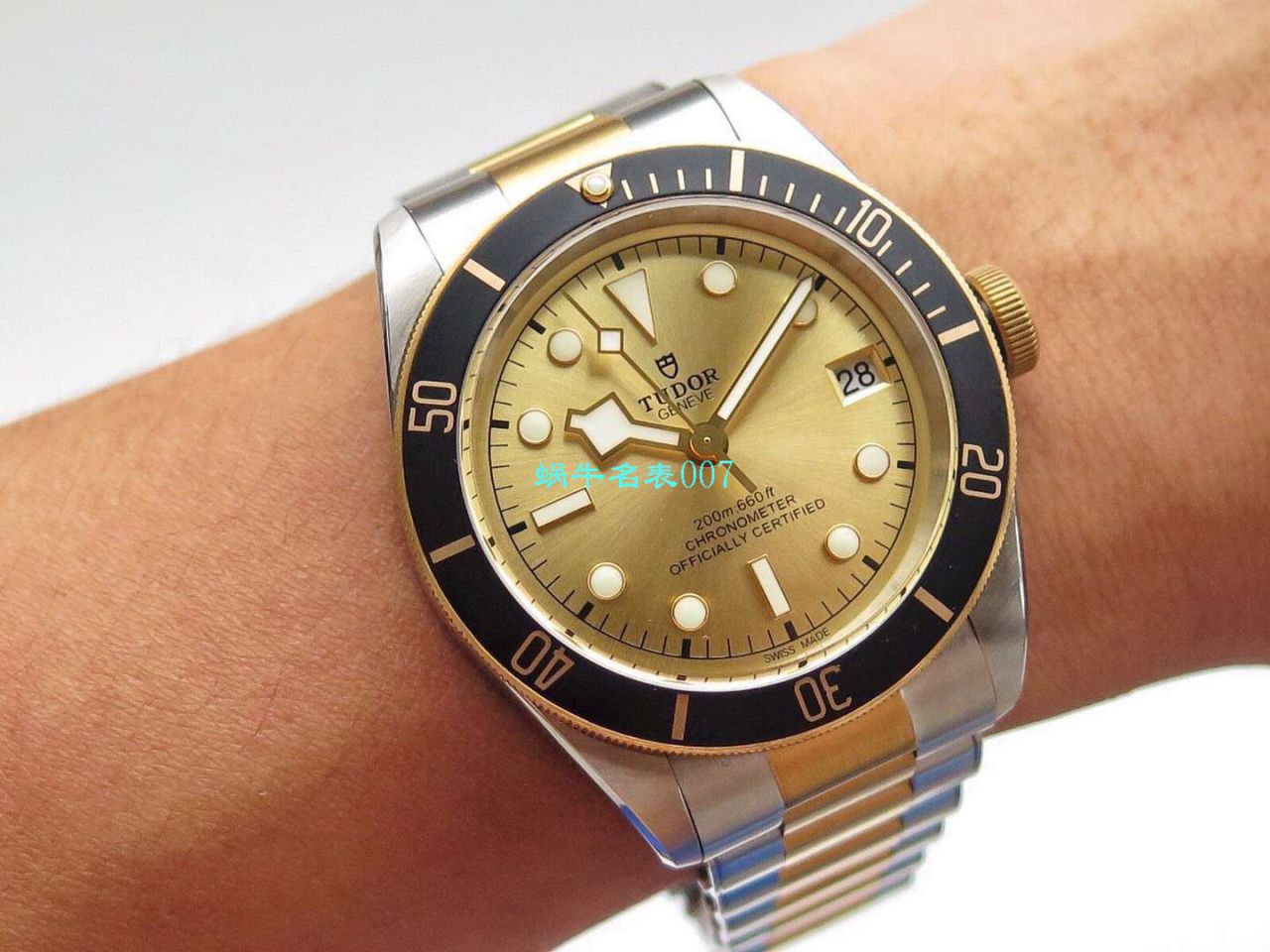 【ZF Factory  Tudor  Replica Copy  Watches 】 Tudor 碧湾系列M79733N-0004 wrist watches  / DT039