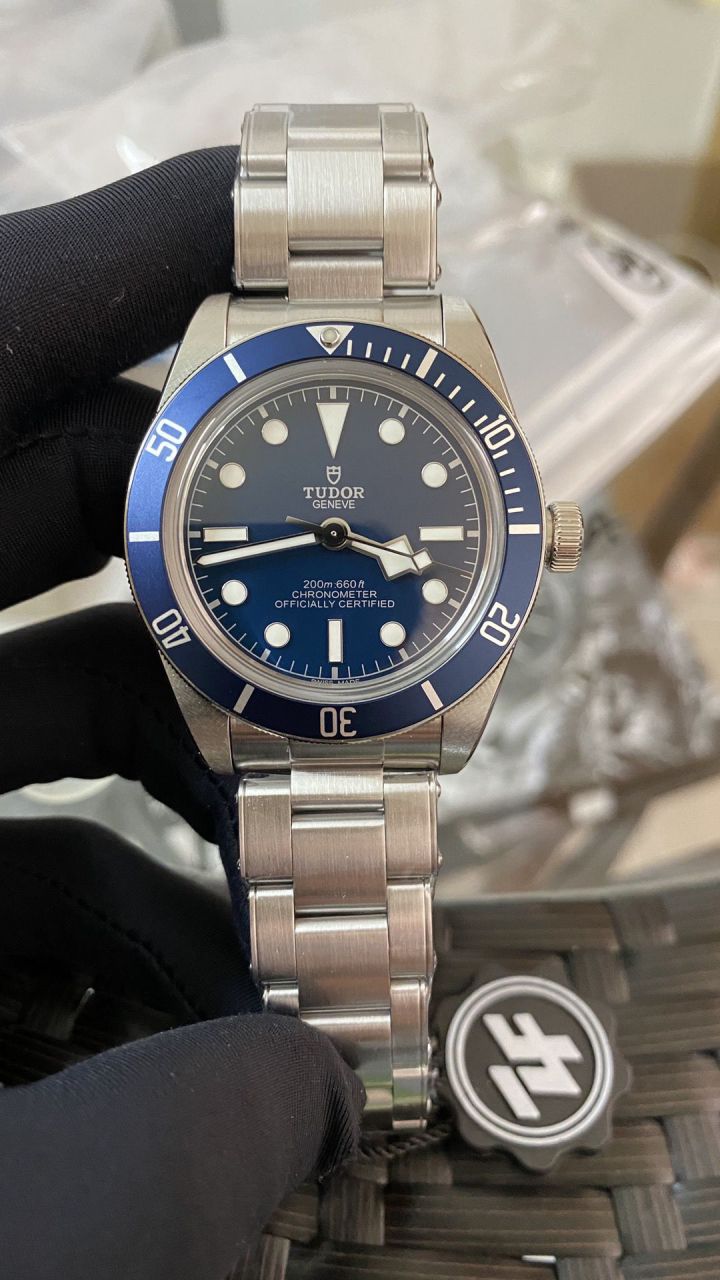 ZF Tudor  39mm 小蓝花 Perfect  Replica Copy  Watches  M79230B / DT086